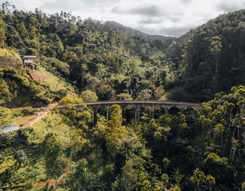 The serene hills and tea plantations of Ella.