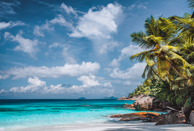 Surfing in Arugam Bay