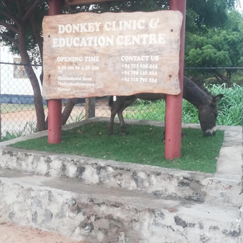 Donkey clinic and education center - Hotel exterior or room view