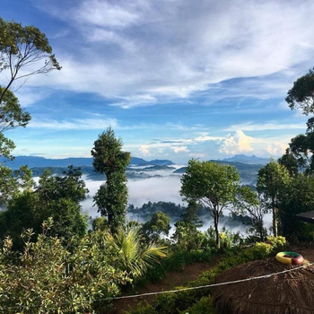 Sana's homestay haputhale - Hotel exterior or room view