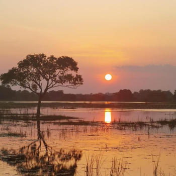 Jungle View Inn - Hotel exterior or room view