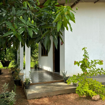 Peacock village and family resort - Hotel exterior or room view