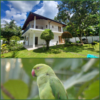 Parrot Paradise Negombo - Hotel exterior or room view