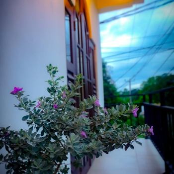 Spacious Entire 2-Bedroom Apartment with Kitchen & Terrace in Dambulla - Hotel exterior or room view