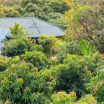 Sigiri Eco Paradise Lodge - Hotel exterior or room view