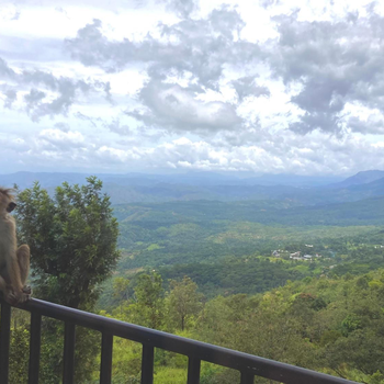 Hotel SkyFall - Hotel exterior or room view