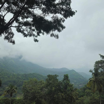 Mandara - Hotel exterior or room view
