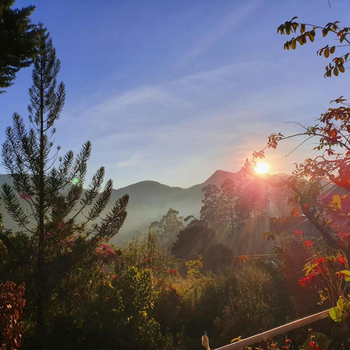 Princess of Dickoya Homestay - Hotel exterior or room view