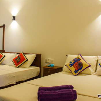 Woodsy Villa - Hotel exterior or room view