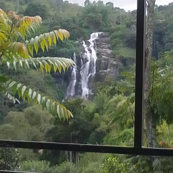 Natures glow cottage - Hotel exterior or room view