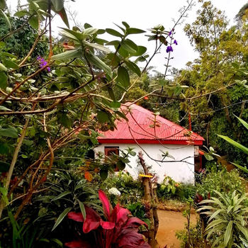 The Jungle Life Homestay Thangamalay Sanctuary Haputale by Gisela Sivam - Hotel exterior or room view