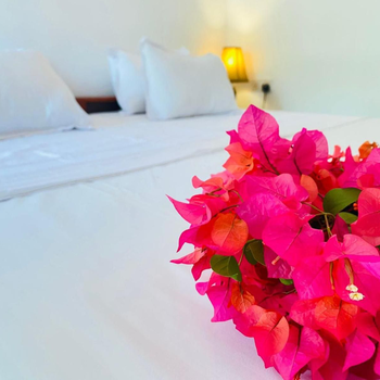 Aaliya Bay - Hotel exterior or room view