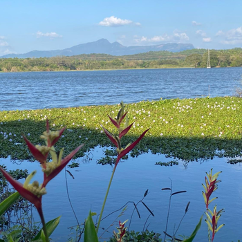 Lake Entrance - Hotel exterior or room view