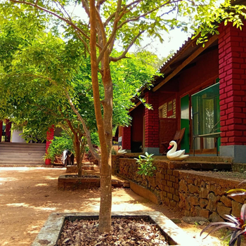 Mahi's Place - Hotel exterior or room view