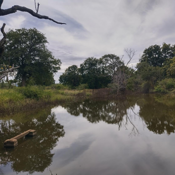 Nature Kingdom Sri Lanka - Hotel exterior or room view