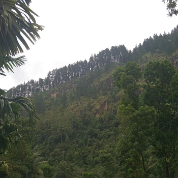 Rock View Holiday Bungalow - Hotel exterior or room view