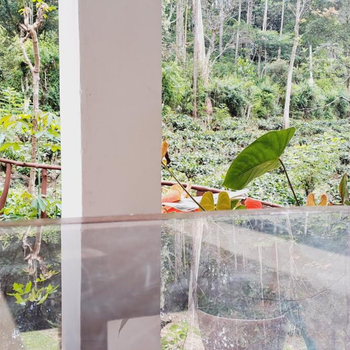 New Relax Inn Ella - Hotel exterior or room view