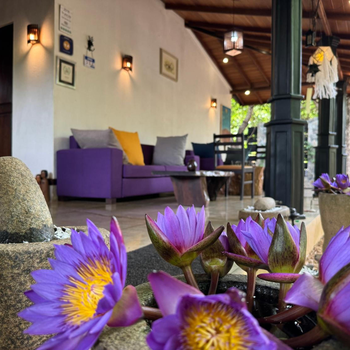 The Green Edge - Hotel exterior or room view