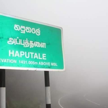 cool mount home stay inn - Hotel exterior or room view