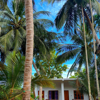 One FS Hotel Arugambay - Hotel exterior or room view