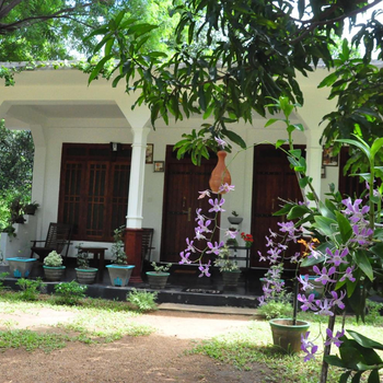 sigiriya flower guest - Hotel exterior or room view