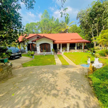 Green villa - Hotel exterior or room view