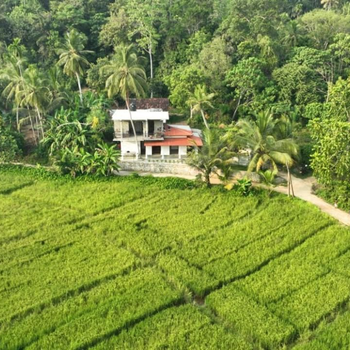 Villa Paddy Jem - Hotel exterior or room view