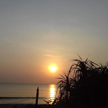 Black Forest Beach Resort - Hotel exterior or room view